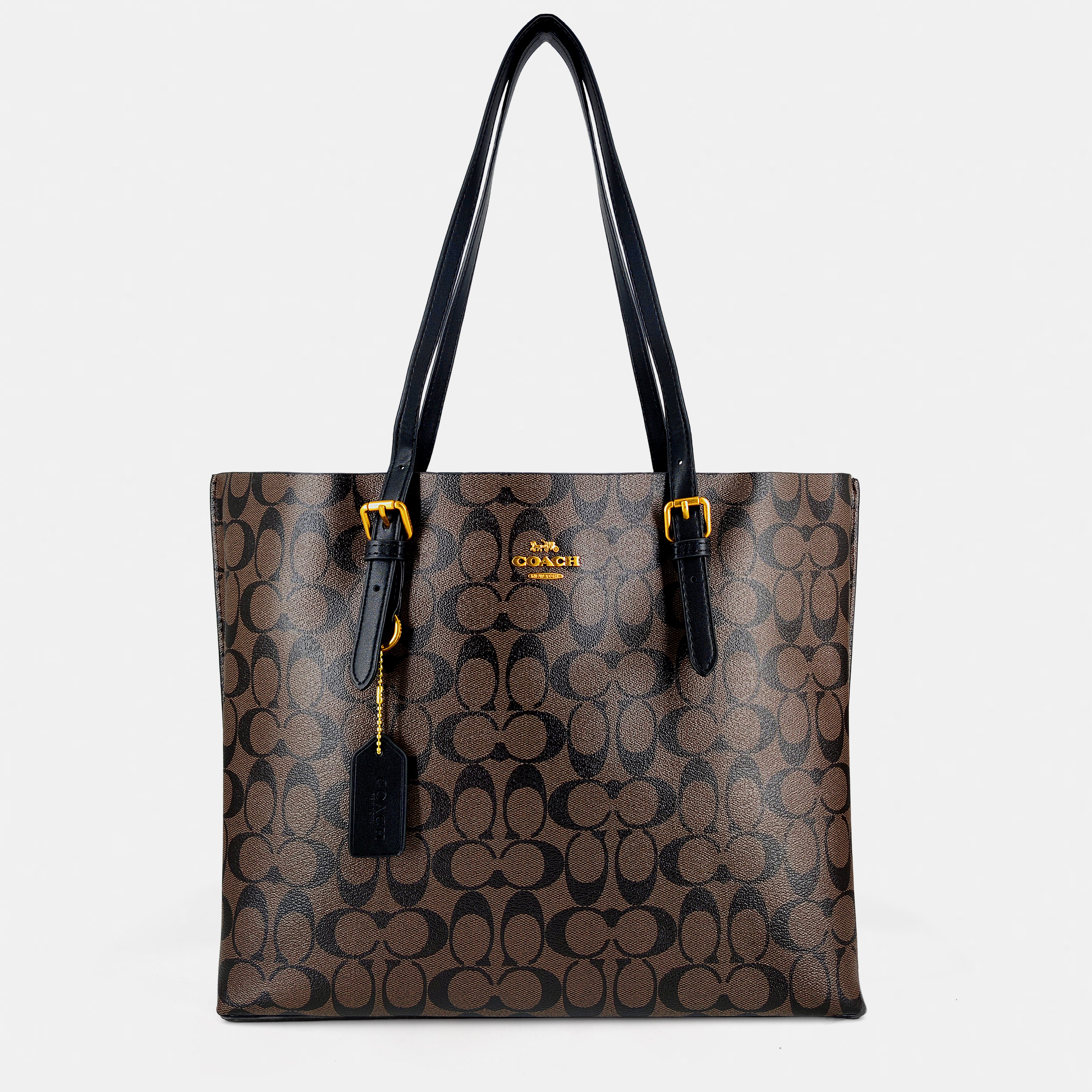 COACH Mollie Tote in Signature Canvas