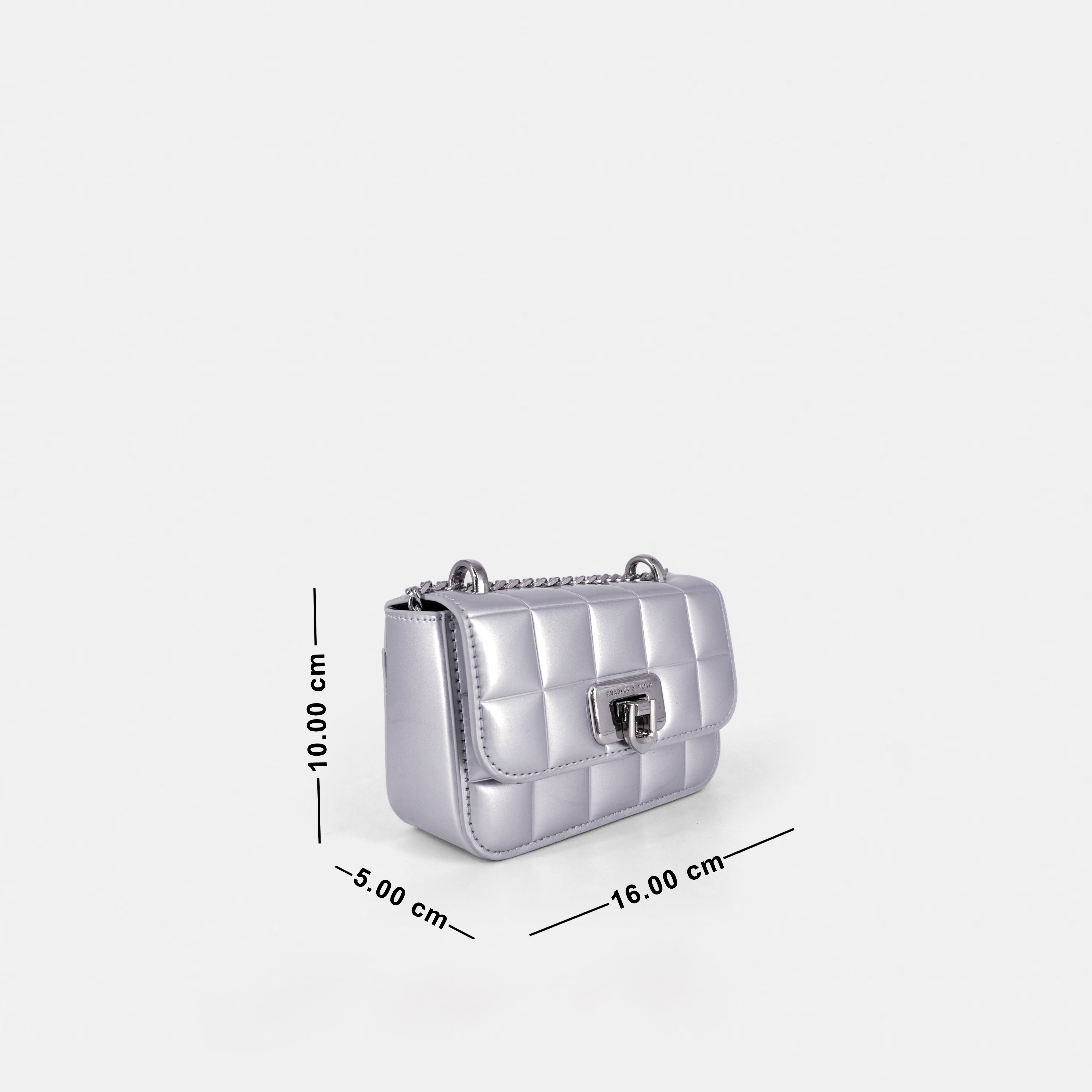 Charles & Keith Inspired Shoulder & Sling Bag