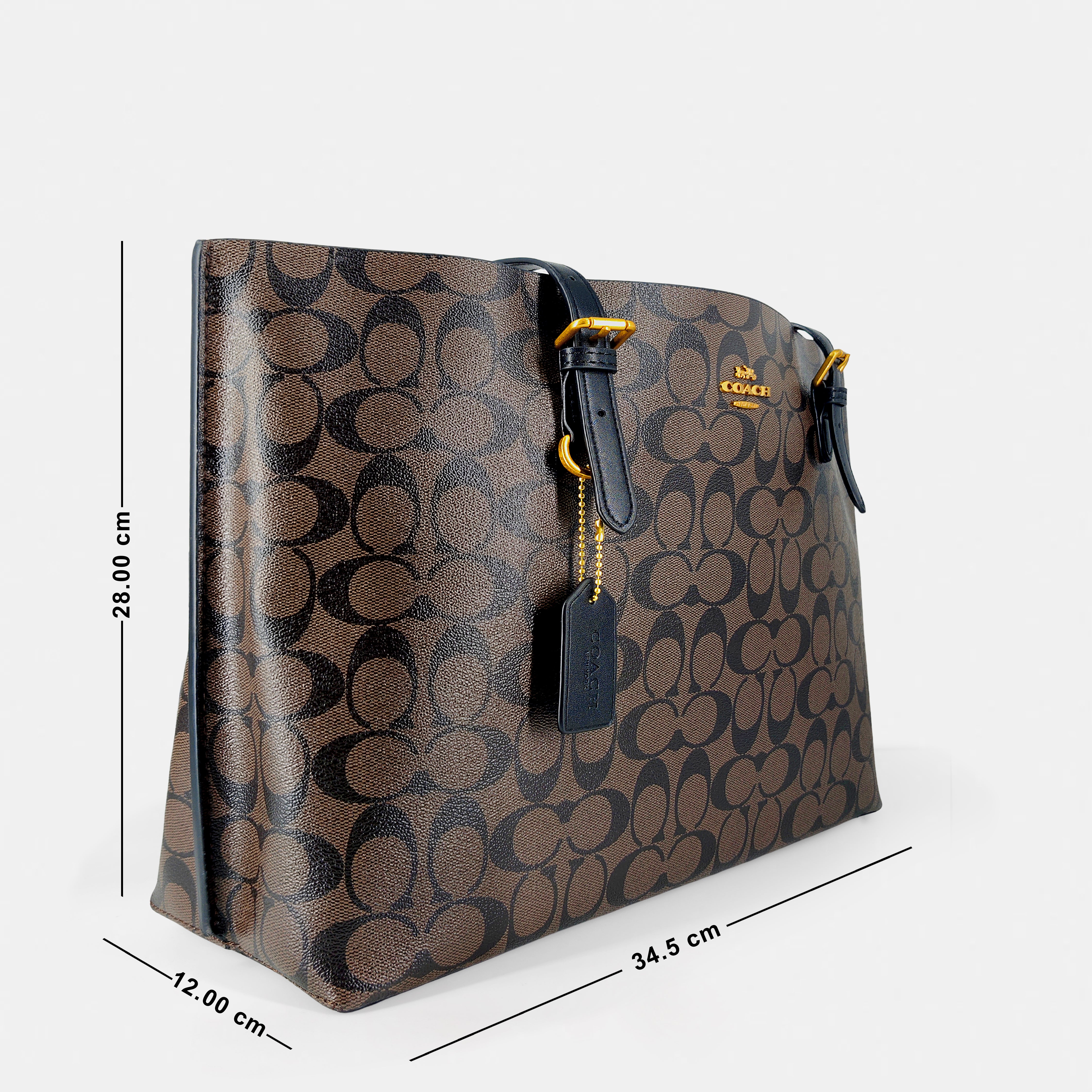 COACH Mollie Tote in Signature Canvas