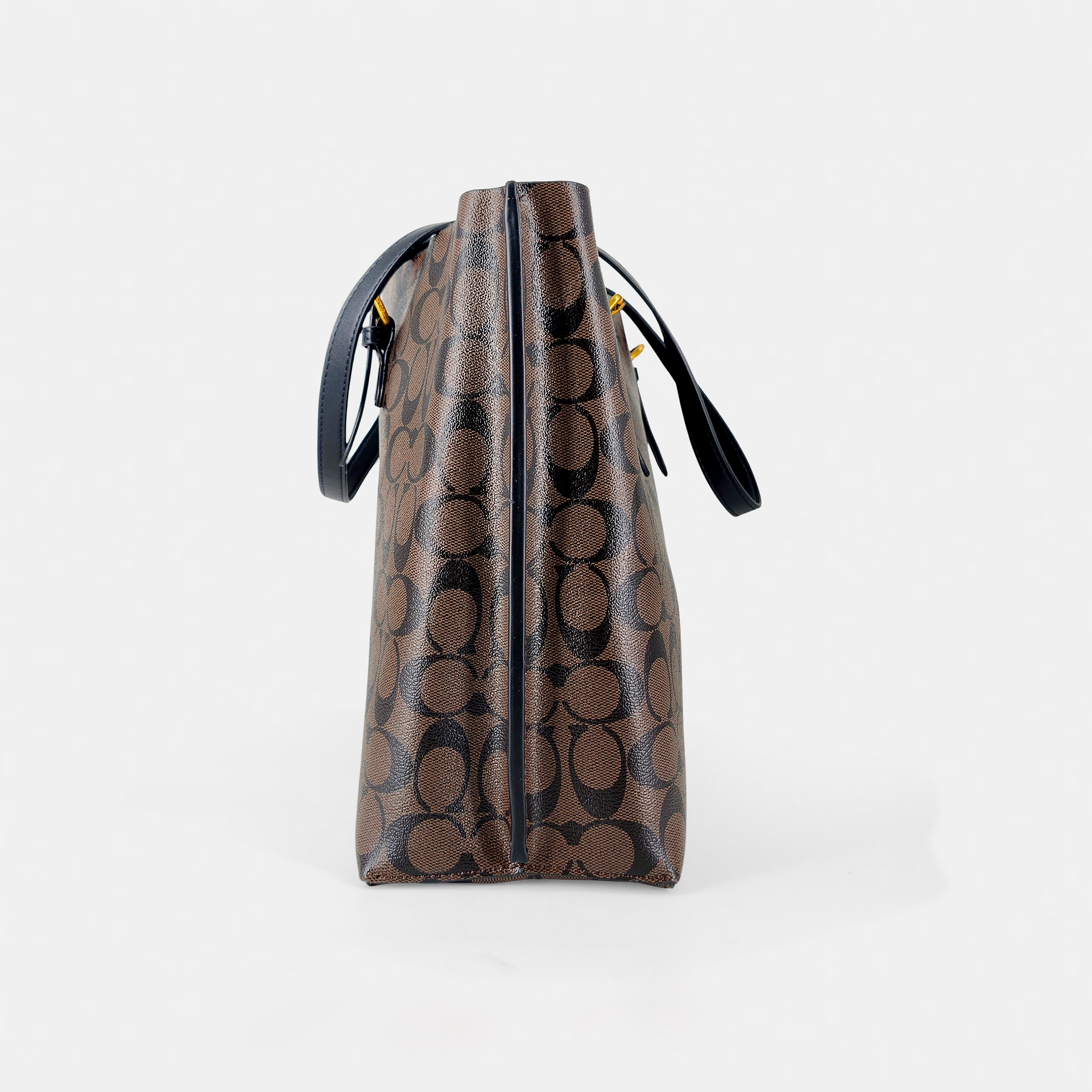 COACH Mollie Tote in Signature Canvas