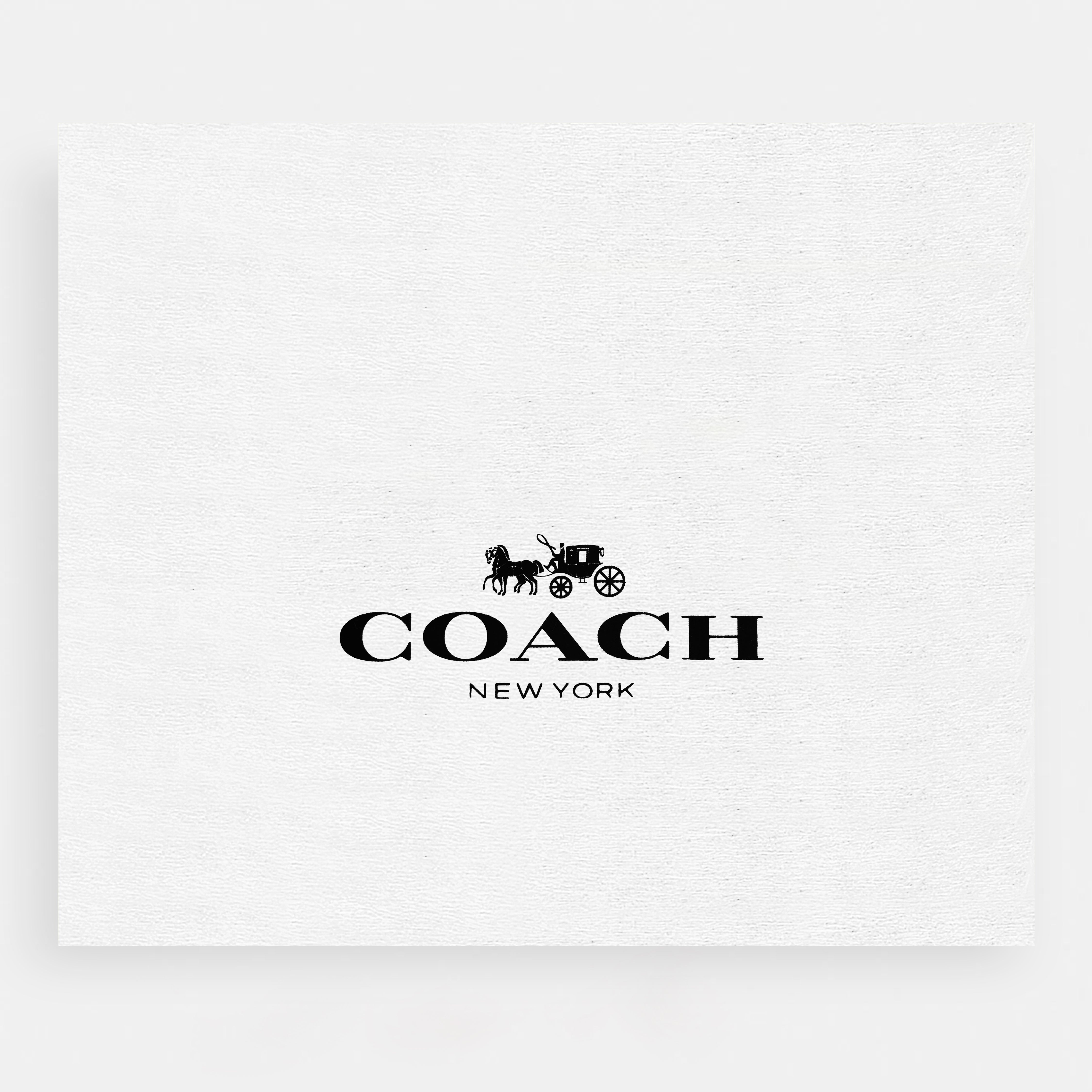 COACH Mollie Tote in Signature Canvas