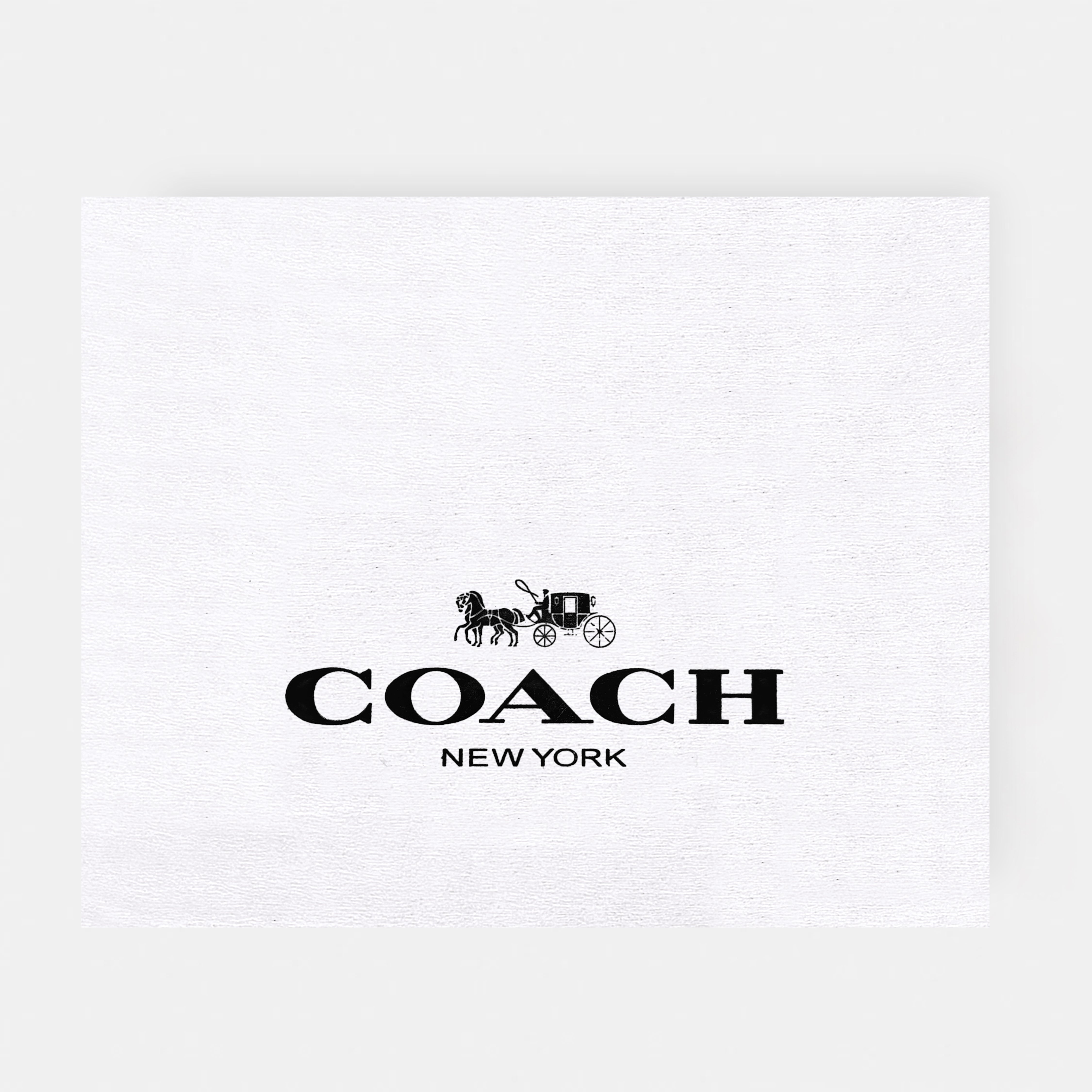 Coach-inspired mini shoulder bag