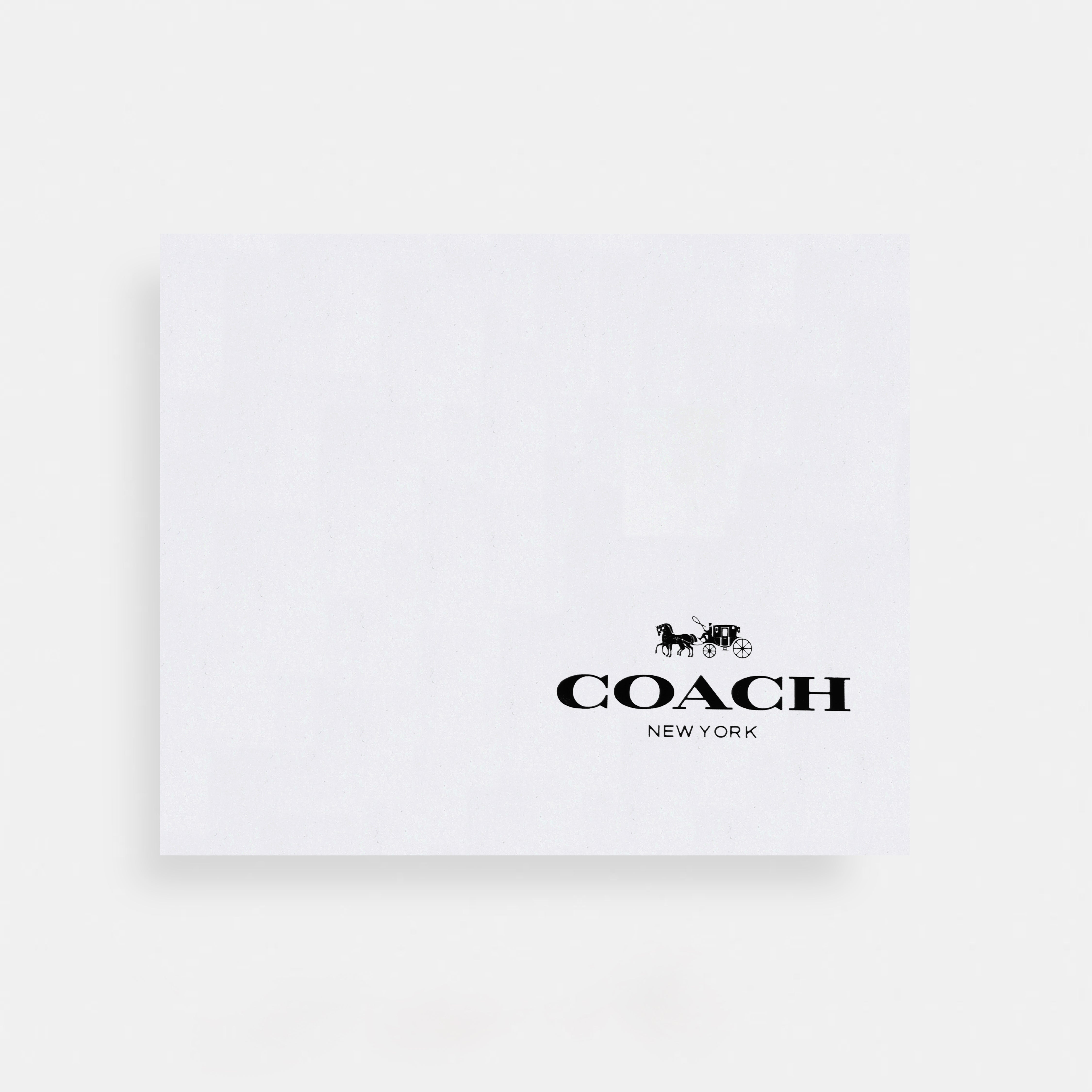 Coach Teri hobo bag