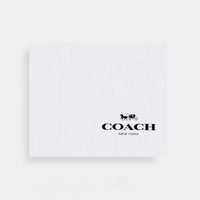 Coach Teri hobo bag