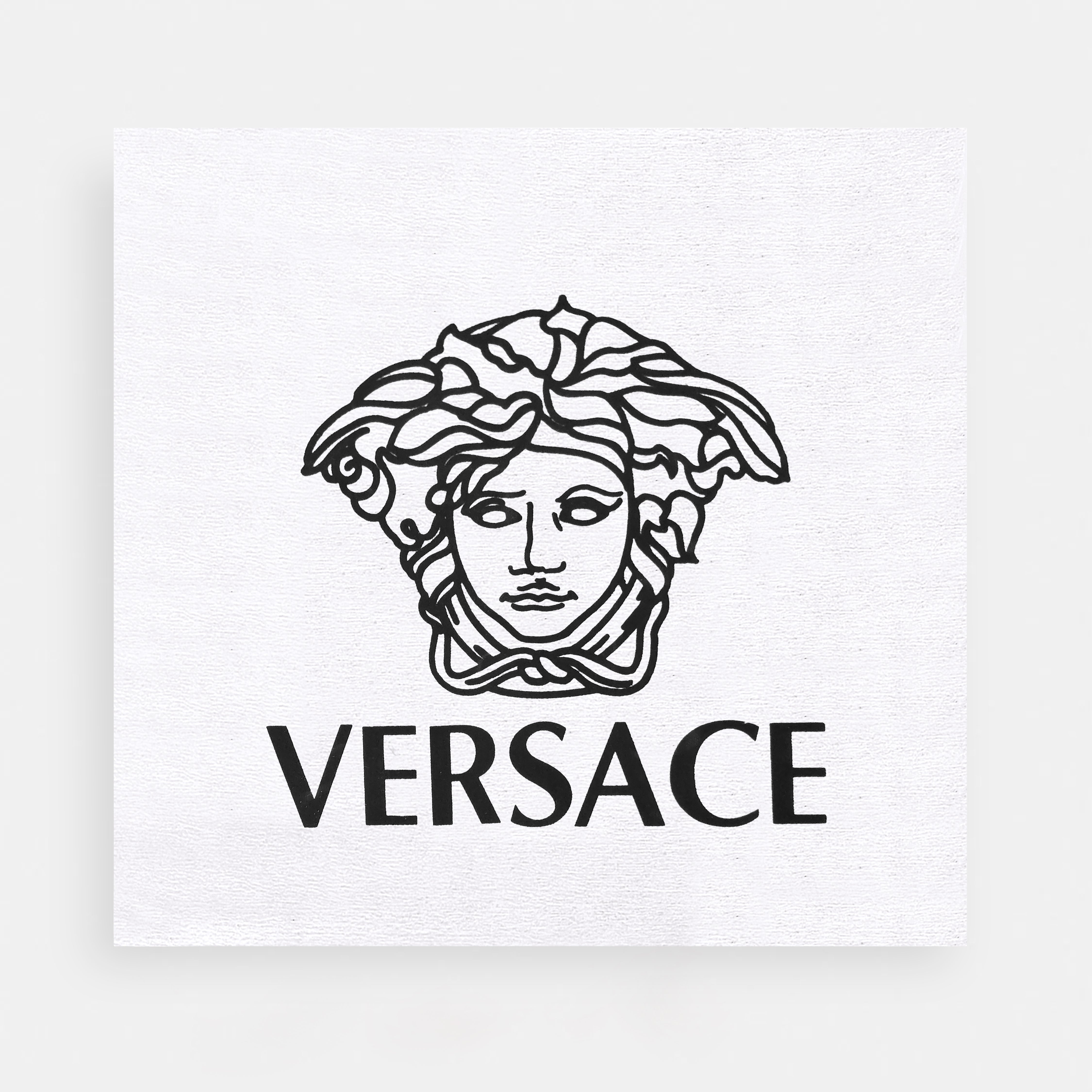 Versace-Inspired Luxury Handbag(Premium Model)