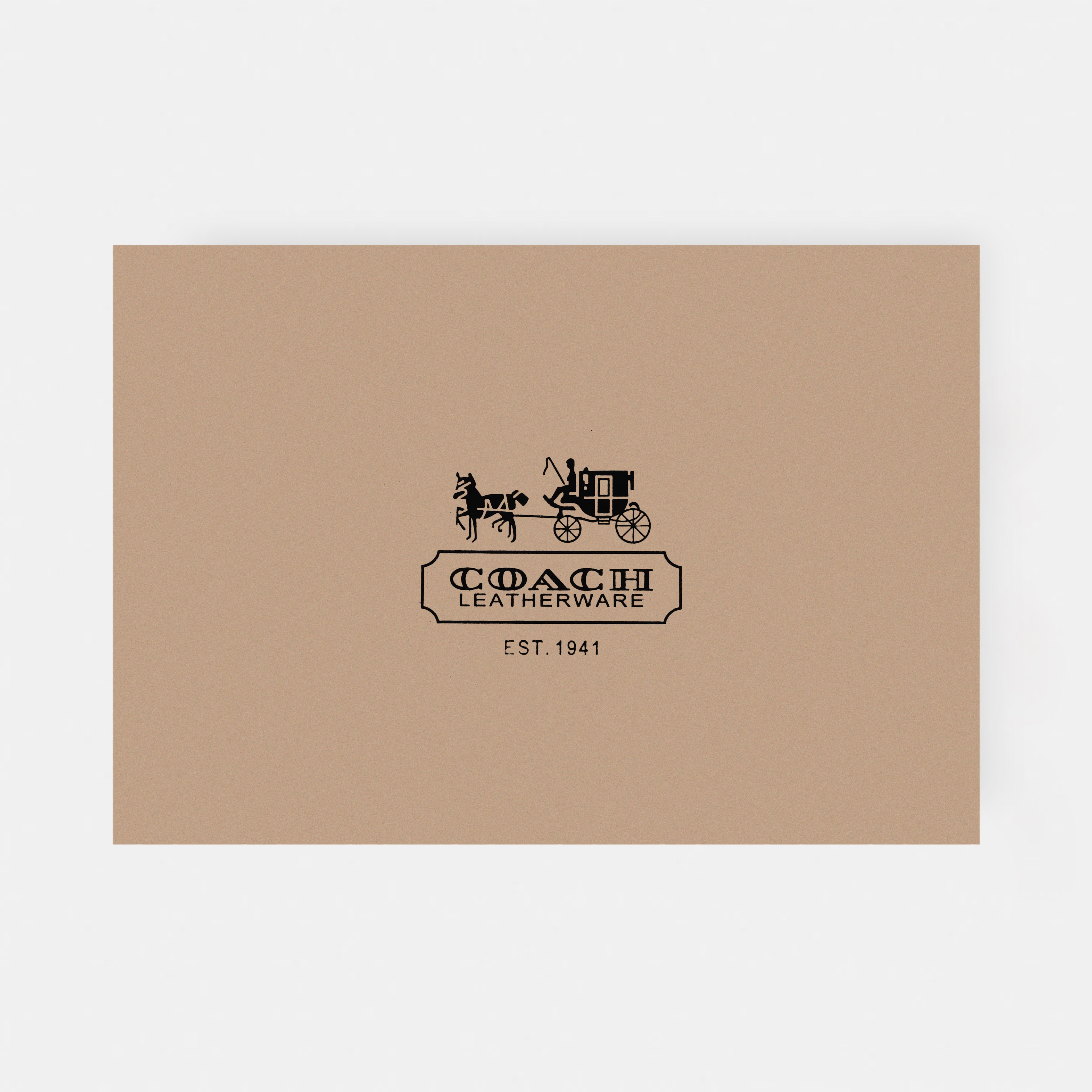Ｃ - - Shoulder Sling MINI BAG