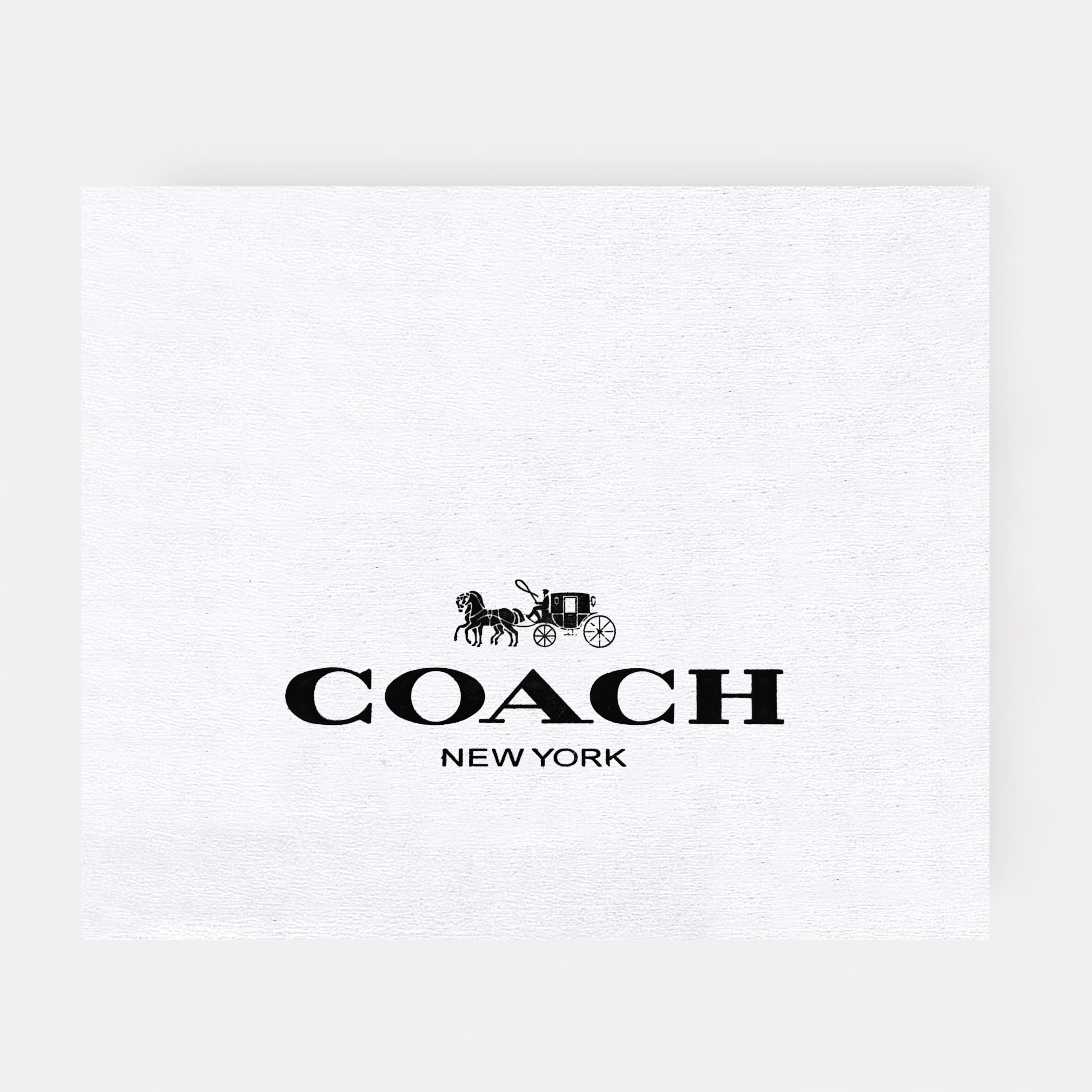 Coach-Inspired Mini Structured Handbag