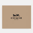Coach-Inspired Mini Shoulder Bag