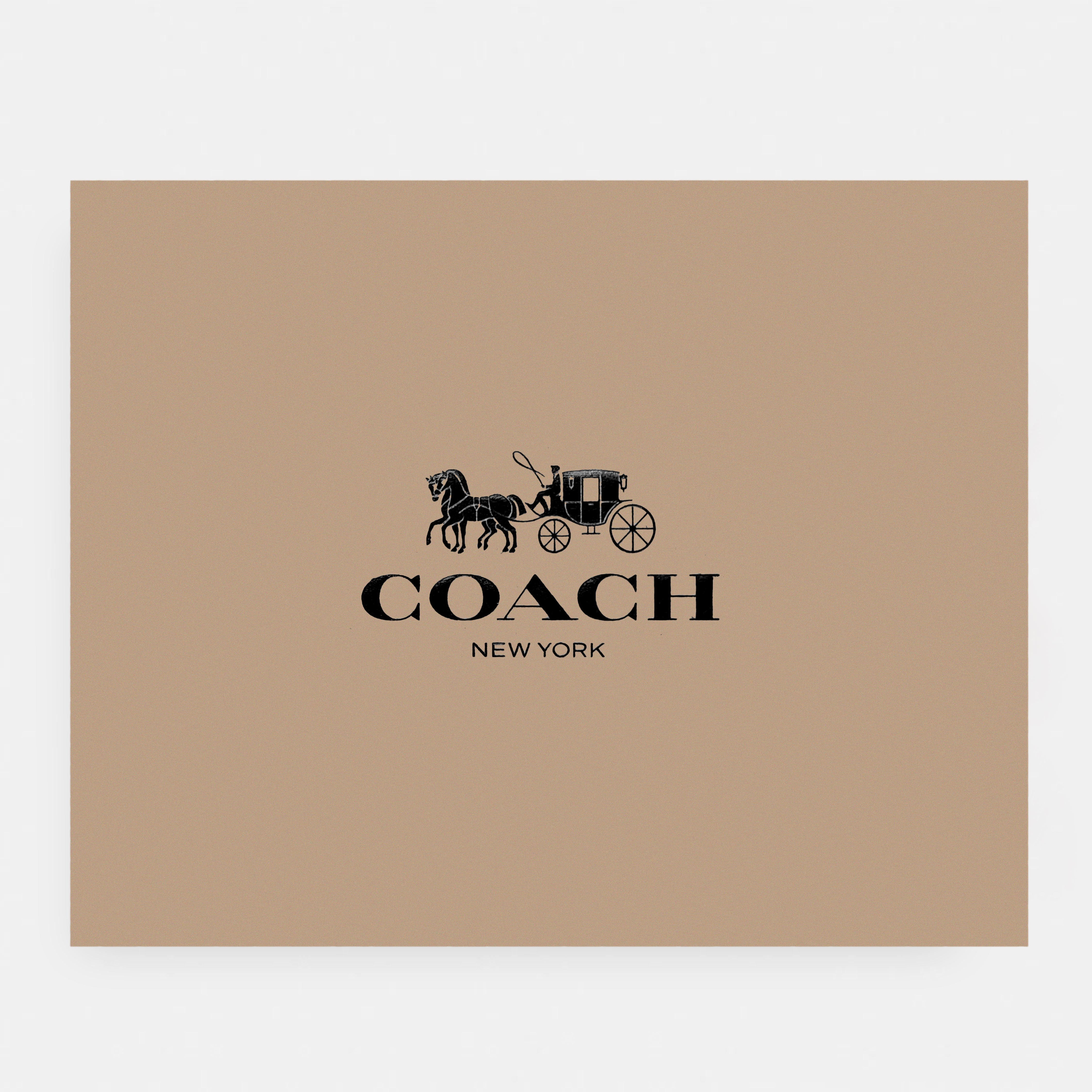 Coach-Inspired Mini Shoulder Bag