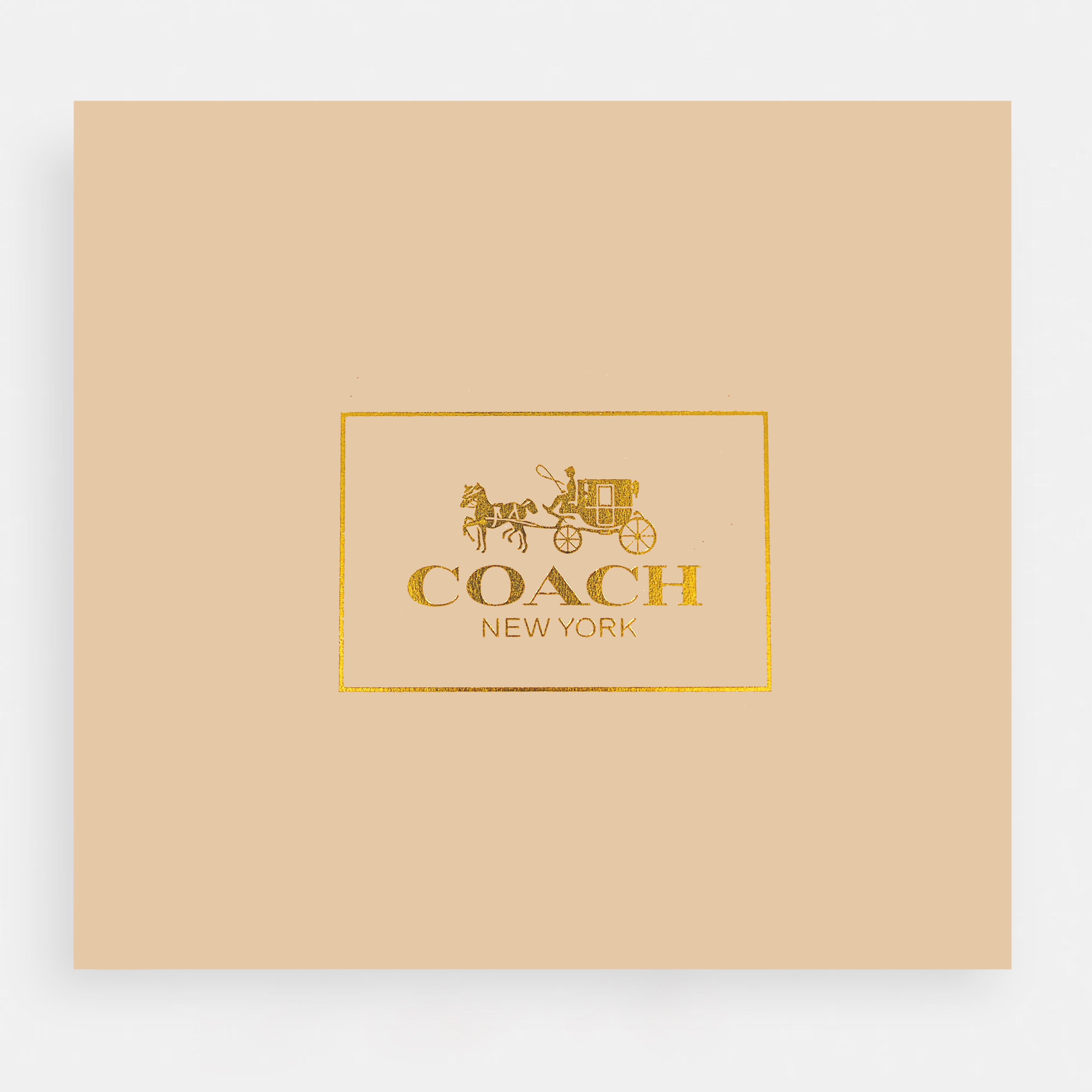 Coach-Inspired Mini handBag