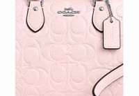 Mini Rowan Crossbody Bag In Signature Leather
